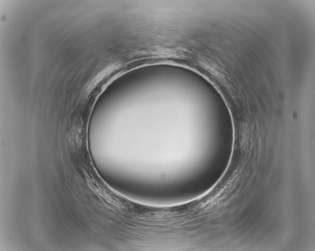 X0000059831163200510241413