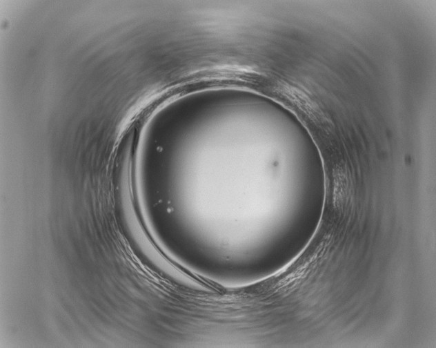 X0000059831164200510241413