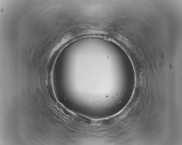 X0000059831165200510241413