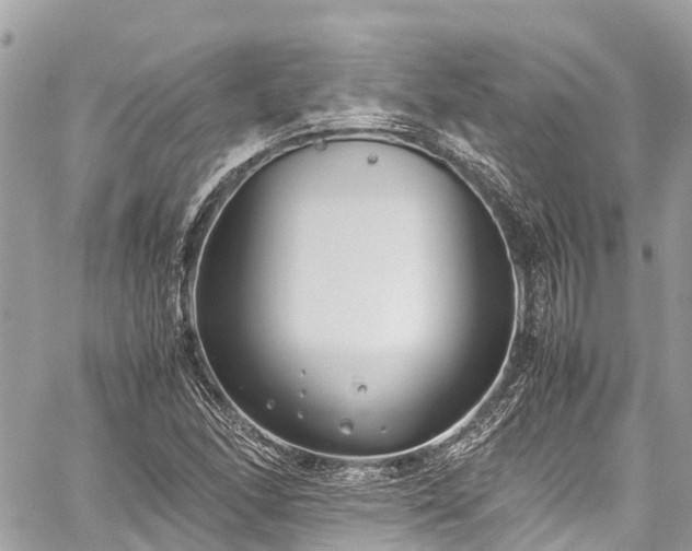 X0000059831166200510241413