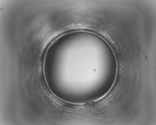 X0000059831167200510241413