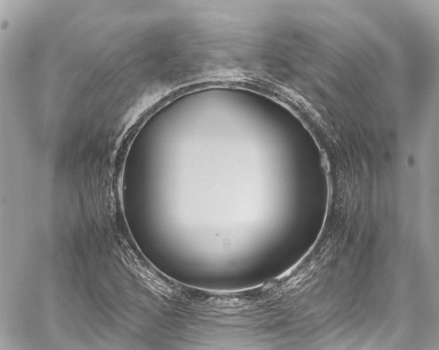 X0000059831168200510241413