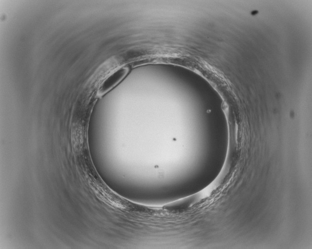 X0000059831169200510241413