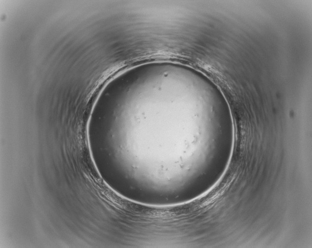 X0000059831170200510241413