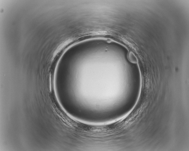 X0000059831171200510241413