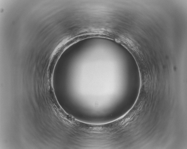 X0000059831172200510241413