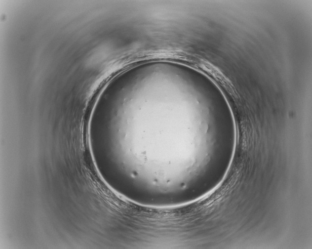 X0000059831174200510241413