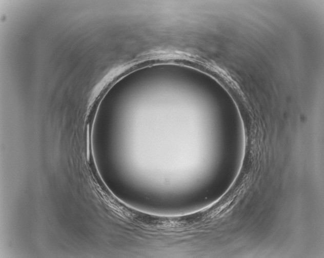 X0000059831175200510241413