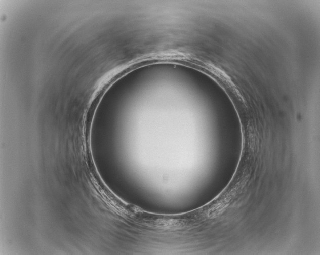 X0000059831176200510241413