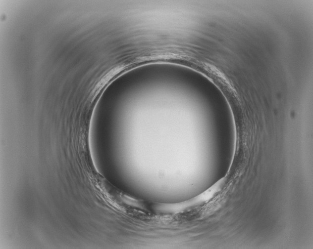 X0000059831177200510241413