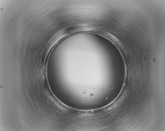 X0000059831178200510241413