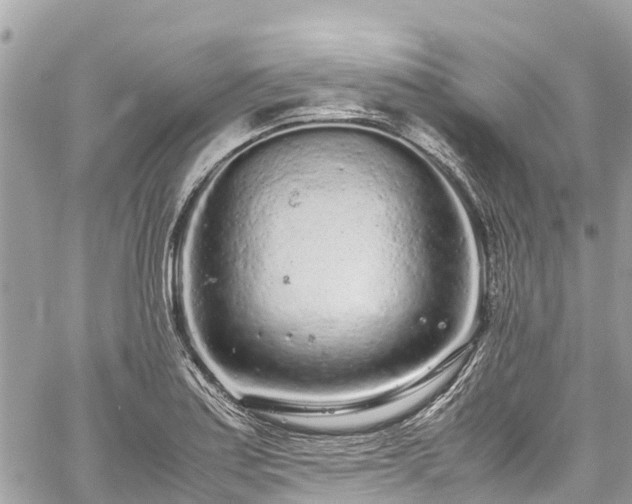 X0000059831179200510241413