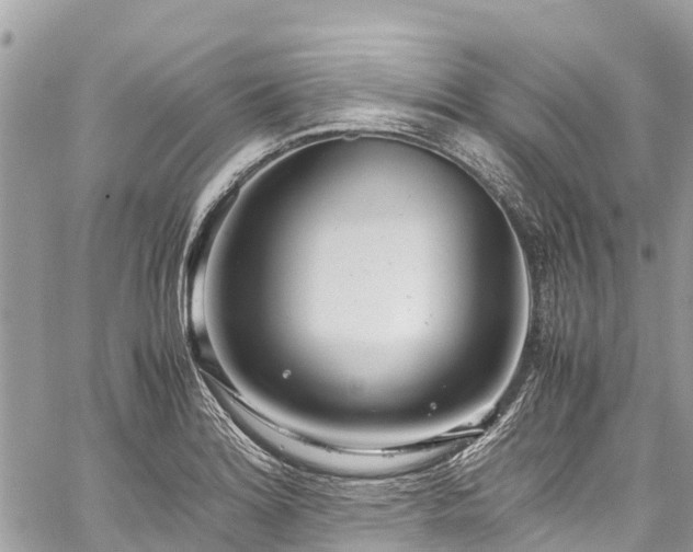 X0000059831180200510241413