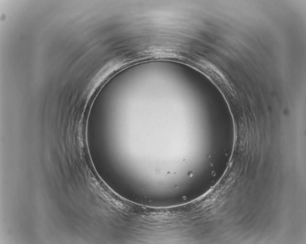 X0000059831182200510241413