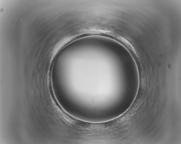 X0000059831183200510241413