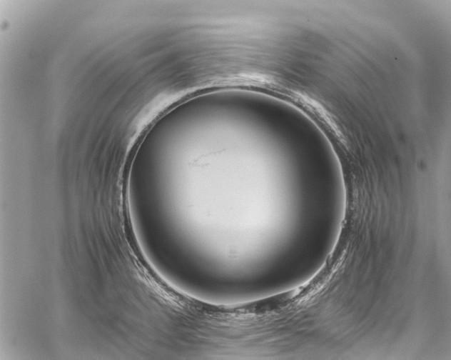 X0000059831184200510241413