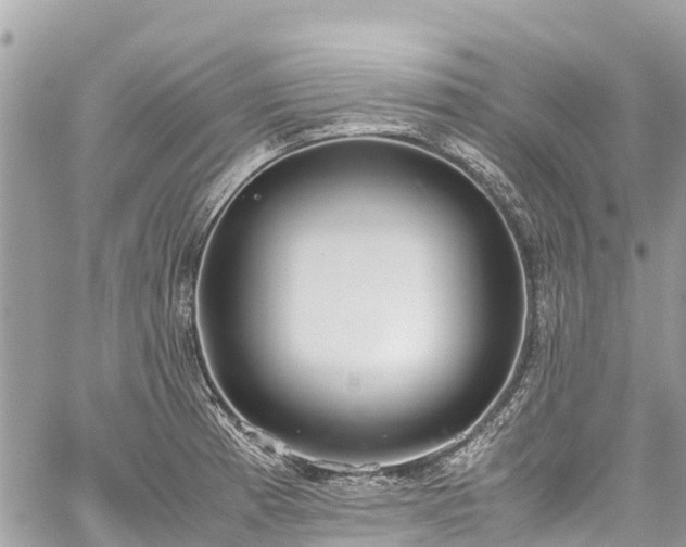 X0000059831185200510241413