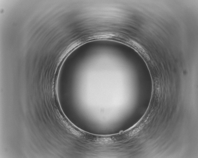 X0000059831186200510241413