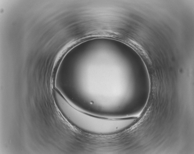 X0000059831188200510241413