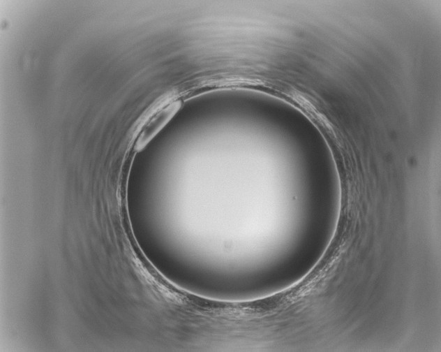 X0000059831189200510241413