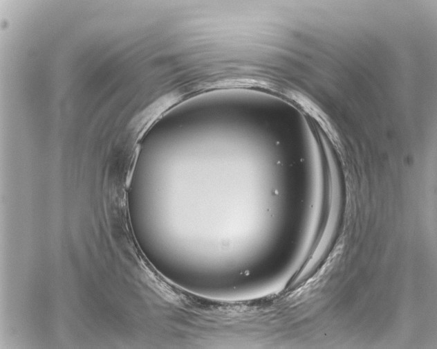 X0000059831193200510241413