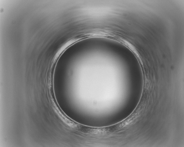 X0000059831195200510241413