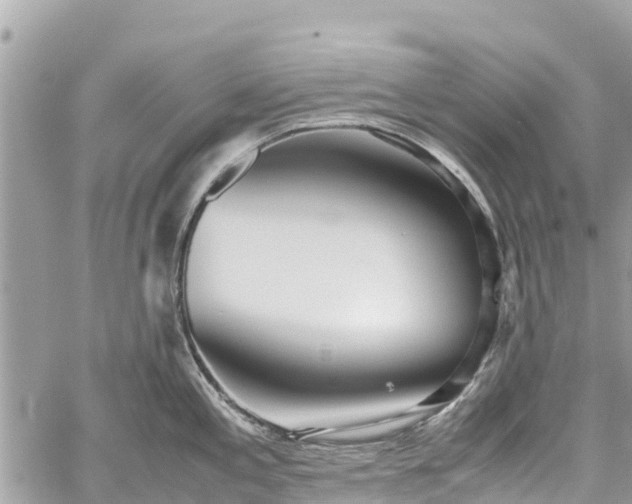 X0000059831197200510241413