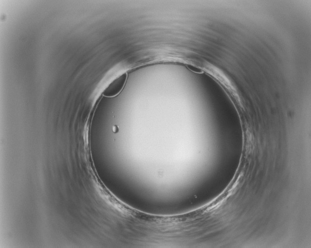 X0000059831198200510241413