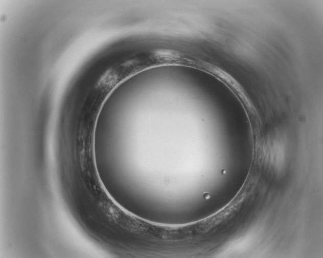 X0000059831199200510241413