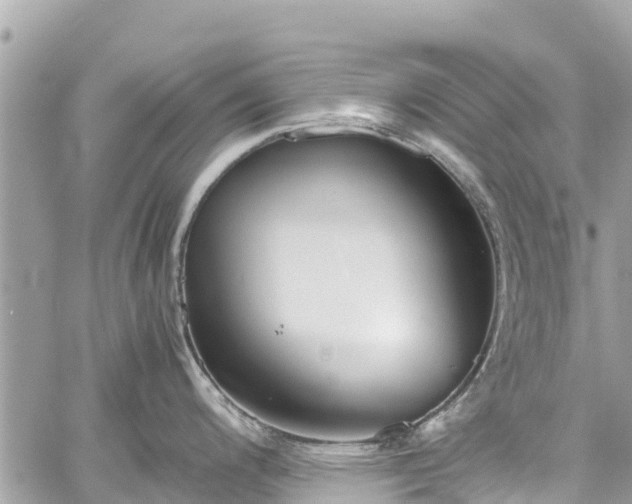 X0000059831200200510241413