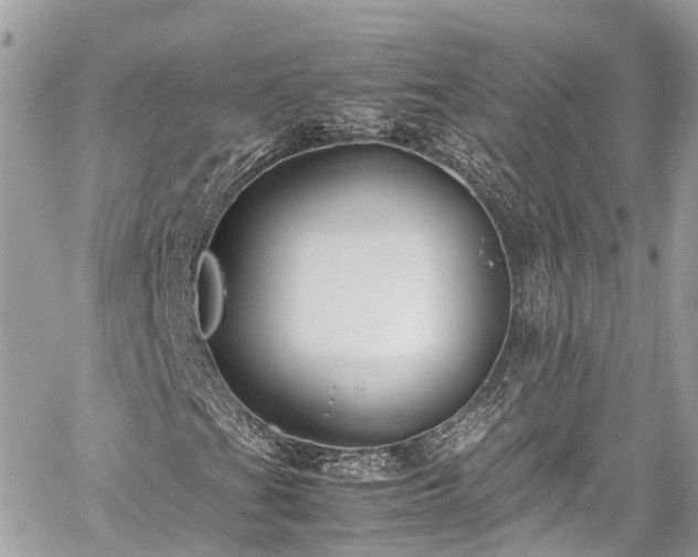 X0000059831201200510241412