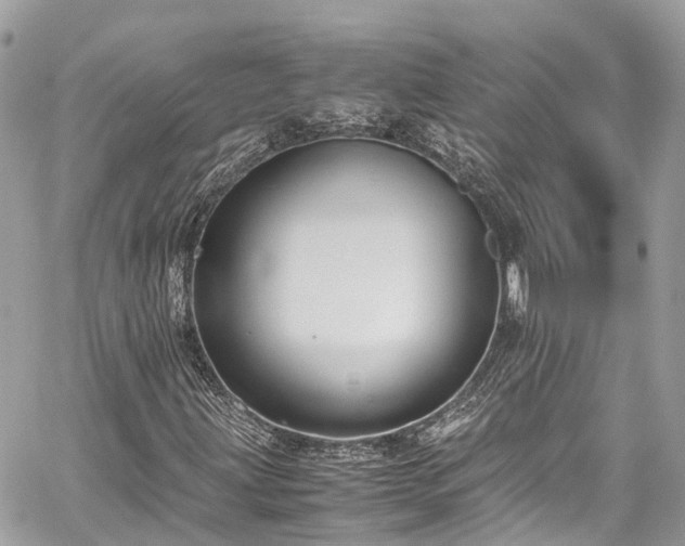 X0000059831203200510241412