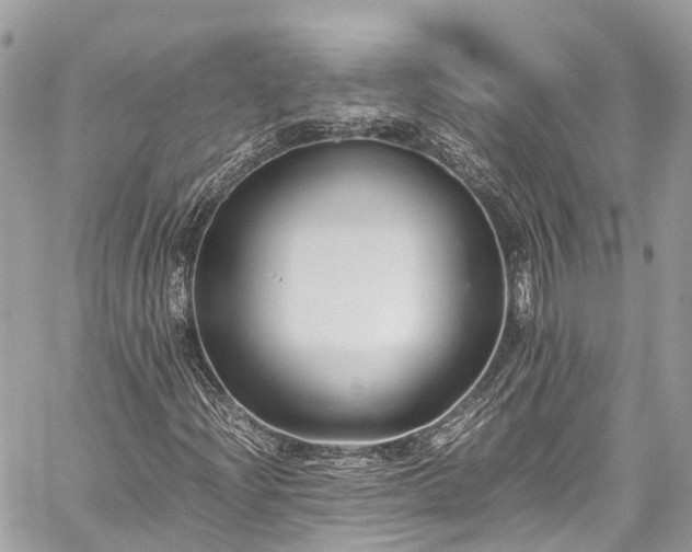 X0000059831204200510241412