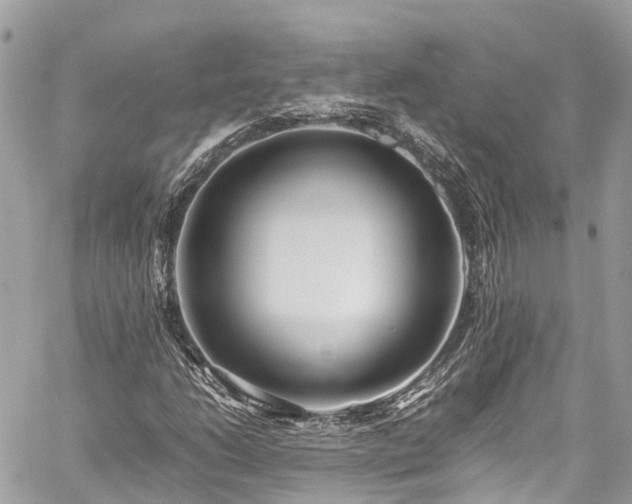 X0000059831206200510241412