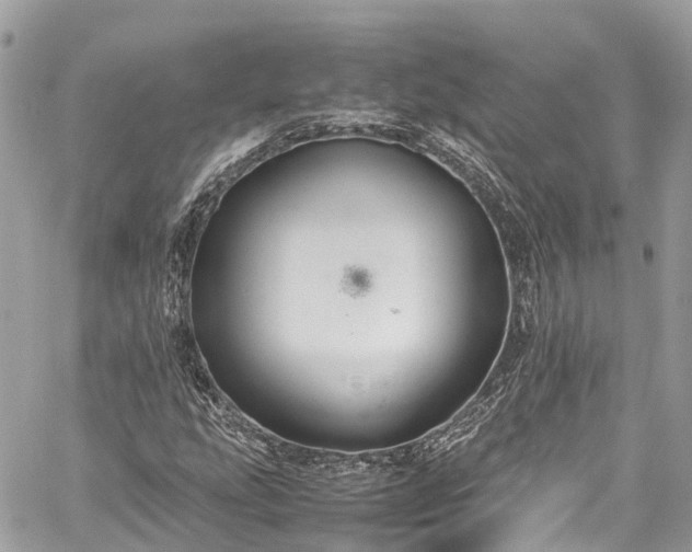 X0000059831207200510241412