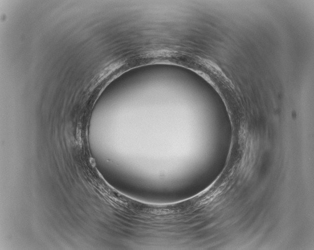 X0000059831209200510241412