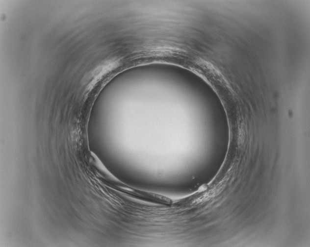 X0000059831210200510241412