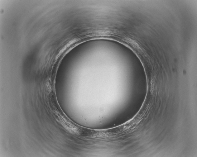 X0000059831212200510241412