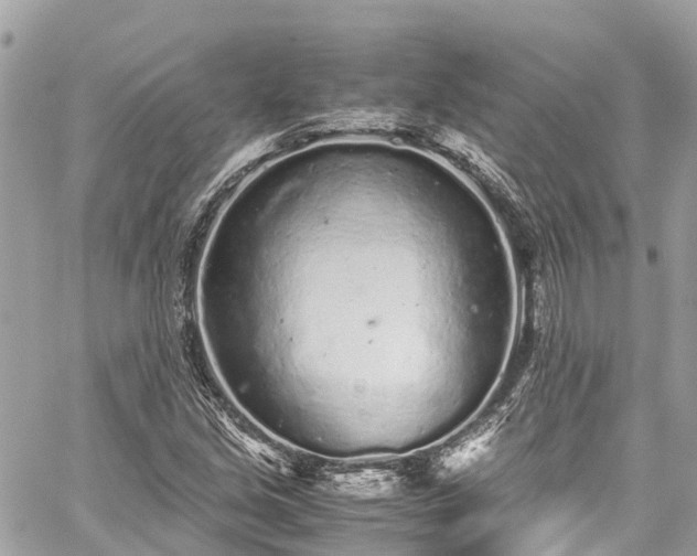 X0000059831213200510241412