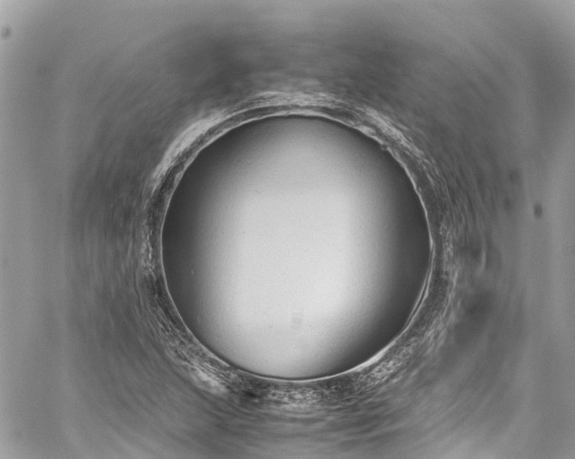 X0000059831215200510241412