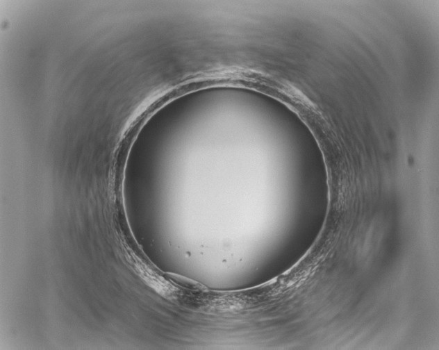 X0000059831216200510241412