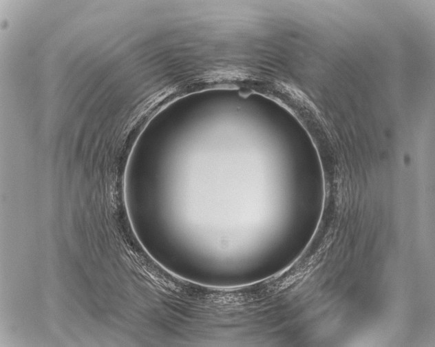 X0000059831217200510241412