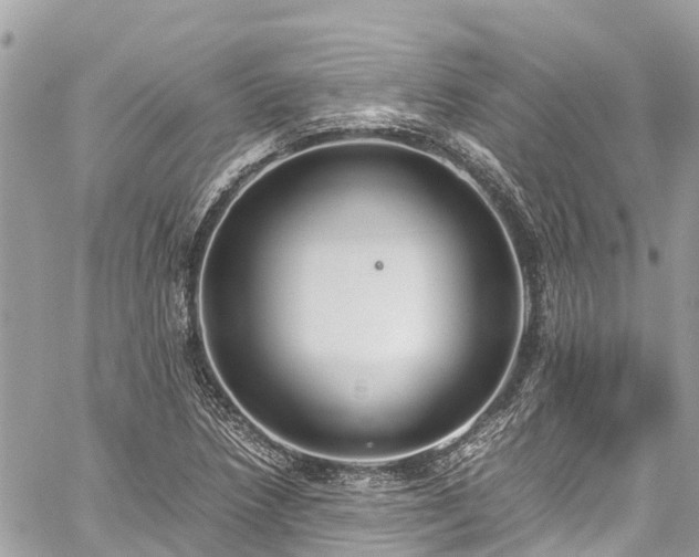 X0000059831218200510241412