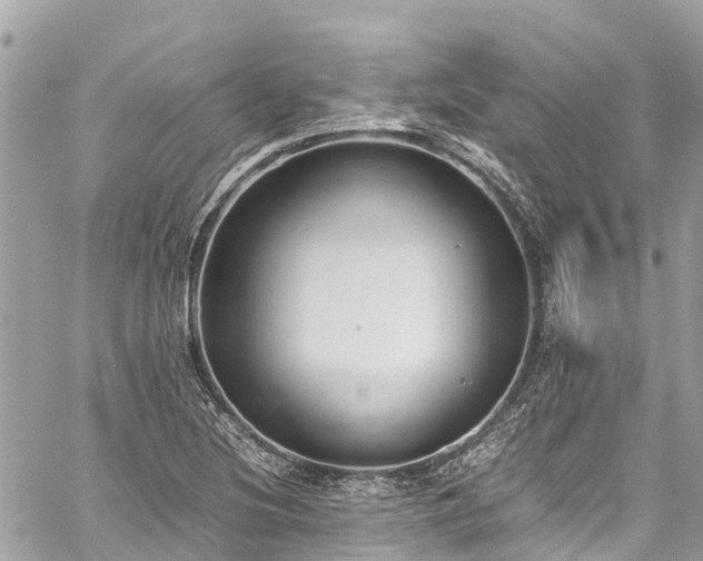 X0000059831220200510241412