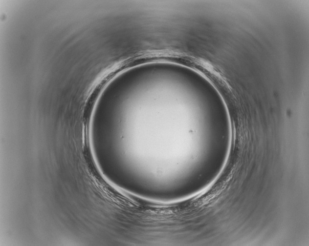 X0000059831221200510241412