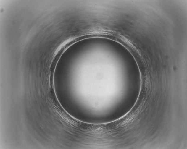 X0000059831222200510241412