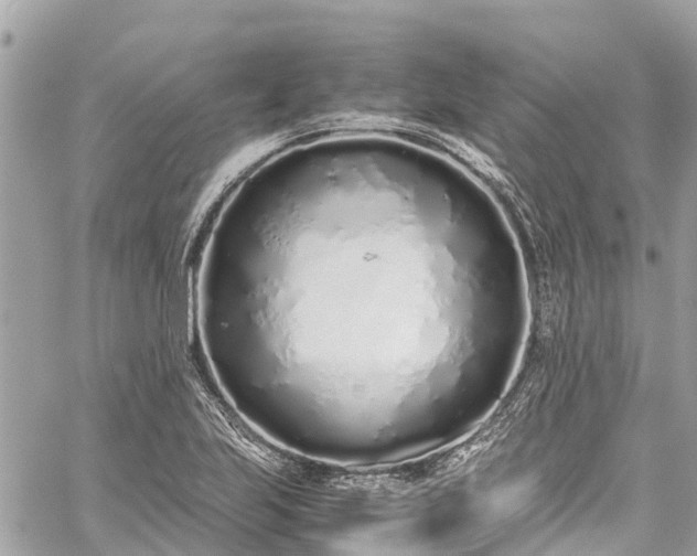 X0000059831223200510241412