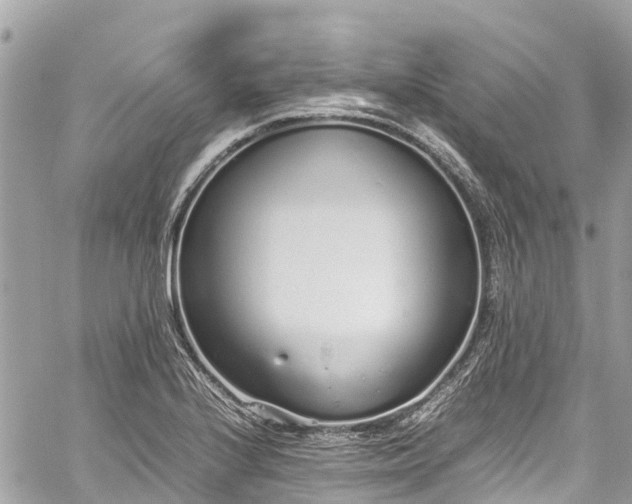 X0000059831224200510241412