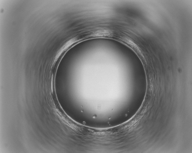 X0000059831227200510241412