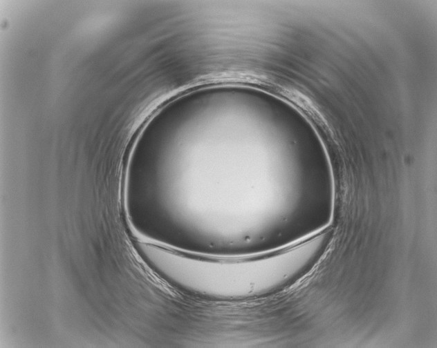 X0000059831228200510241412